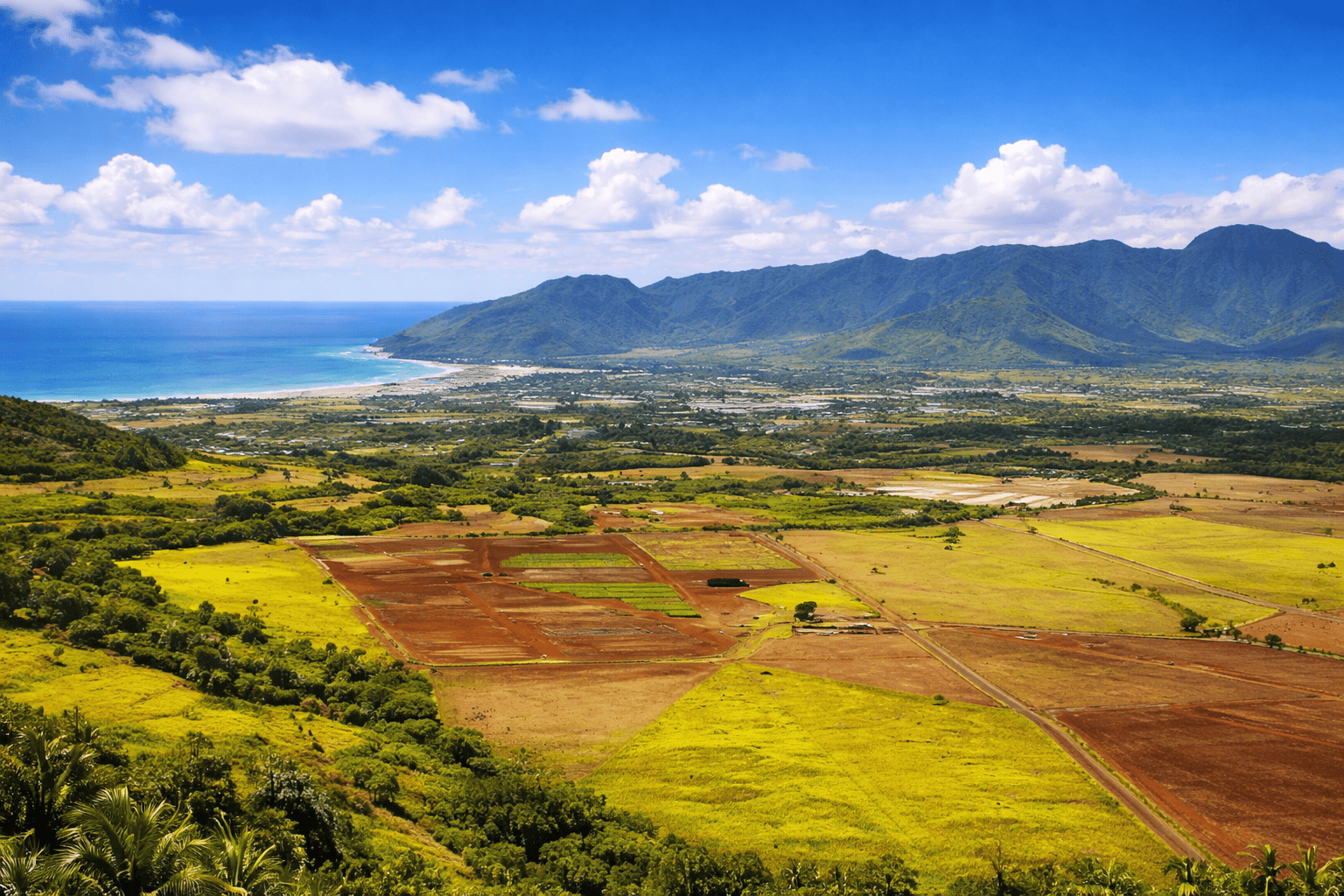 Kauai Island Tours